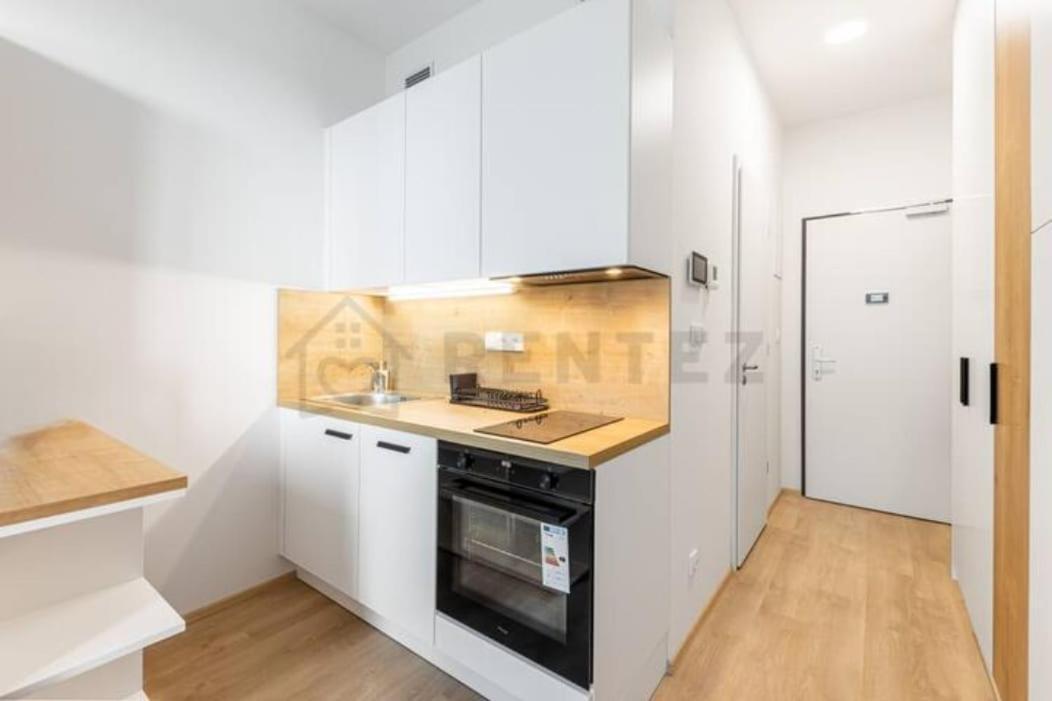 Mymozart Lux With Parking Included Praga